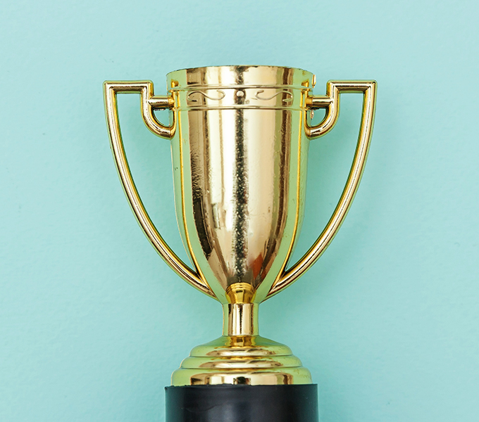 Recognition Image